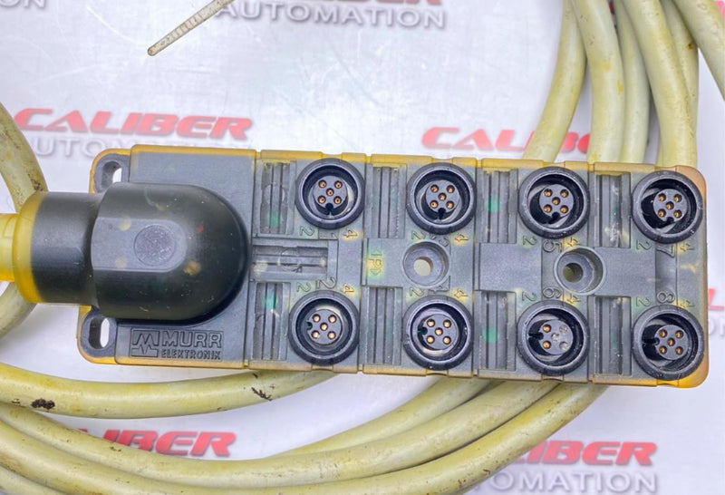 Load image into Gallery viewer, MURR ELECTRONIC 8000-88410-36205000 Cable Cord (USED) - Caliber Automation Online Store
